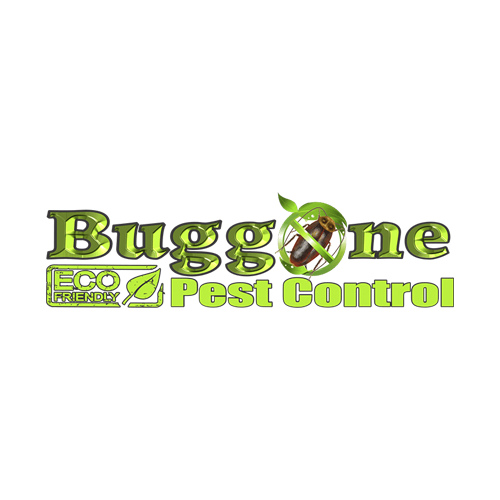 Buggone Website