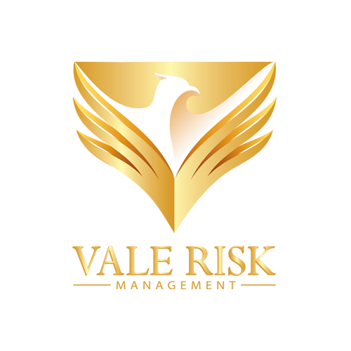 Vale Risk Website